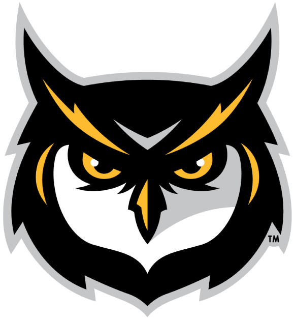 Kennesaw State Owls 2012-Pres Alternate Logo v3 iron on transfers for T-shirts